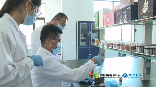 科技匠心賦能食藥同源，青春力量書寫產(chǎn)業(yè)華章——何貴山的技術(shù)服務之路